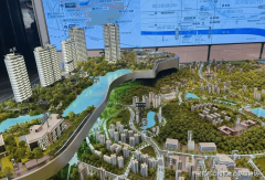 解答项目规划、购房政策等问题）获取小